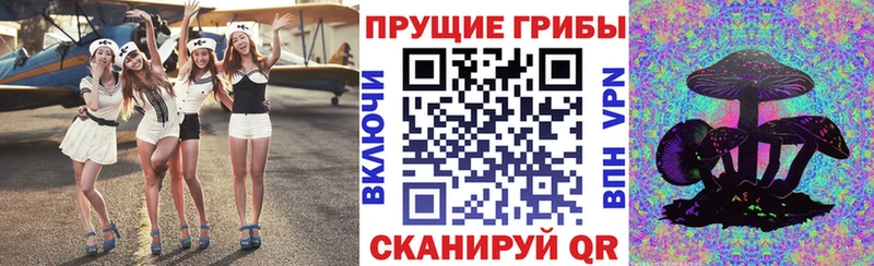 Галлюциногенные грибы мицелий  Волгореченск 