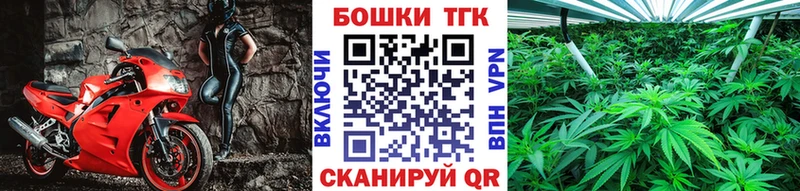 OMG как зайти  Волгореченск  Бошки марихуана THC 21%  как найти закладки 